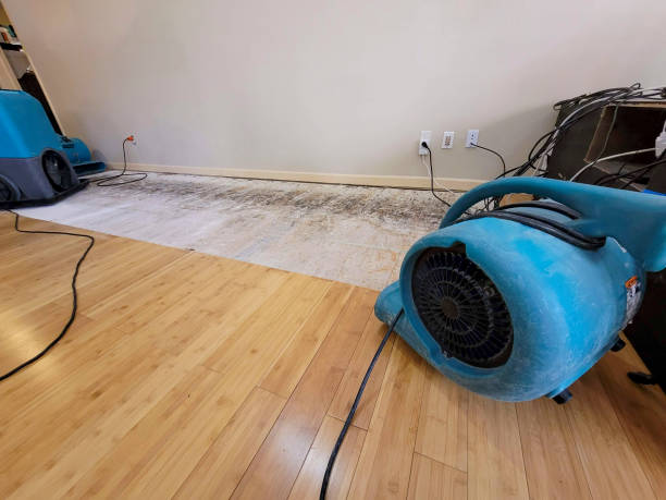 Professional Basement Flood Cleanup technician working in Poca, WV